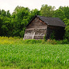 Barns : 