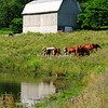 Barns : 